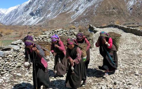Himalayan women